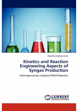 Kinetics and Reaction Engineering Aspects of Syngas Production