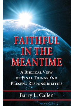 Faithful in the Meantime