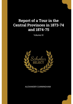 Report of a Tour in the Central Provinces in 1873-74 and 1874-75; Volume IX