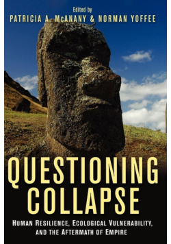 Questioning Collapse