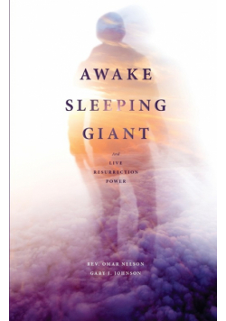 Awake Sleeping Giant
