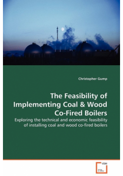 The Feasibility of Implementing Coal