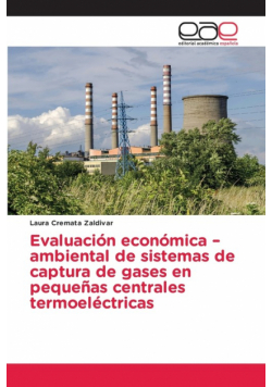 Evaluación económica -ambiental de sistemas de captura de gases en pequeñas centrales termoeléctricas