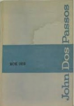 Rok 1919