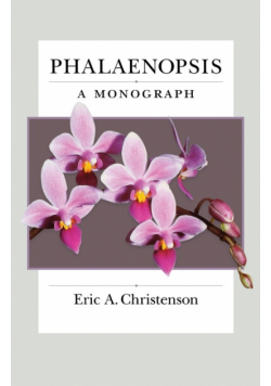 Phalaenopsis