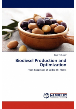 Biodiesel Production and Optimization