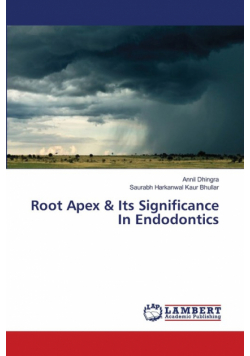 Root Apex & Its Significance In Endodontics
