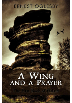 A Wing and a Prayer