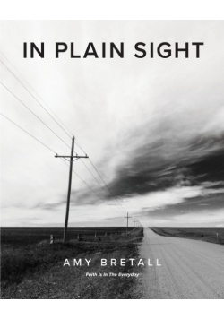 In Plain Sight