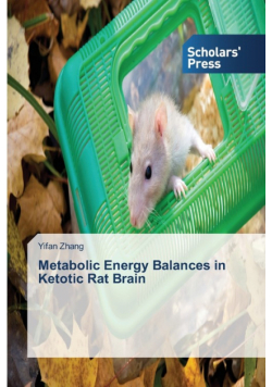 Metabolic Energy Balances in Ketotic Rat Brain