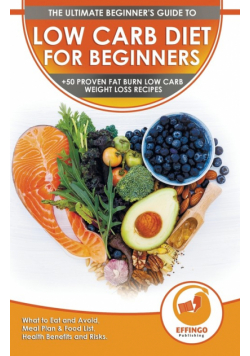 Low Carb Diet For Beginners