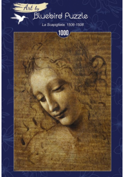 La Scapigliata Leonardo da Vinci