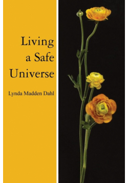 Living a Safe Universe