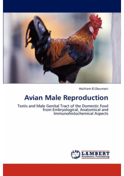 Avian Male Reproduction