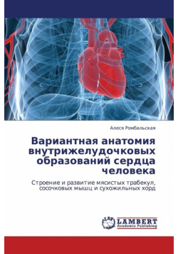 Variantnaya Anatomiya Vnutrizheludochkovykh Obrazovaniy Serdtsa Cheloveka