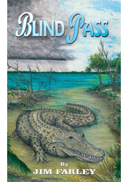 Blind Pass