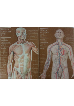 Human Anatomy Tom I i II
