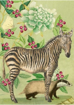Karnet B6 z kopertą Zebra i borsuk