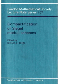 Compactification of Siegel Moduli Schemes