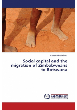 Social capital and the migration of Zimbabweans to Botswana