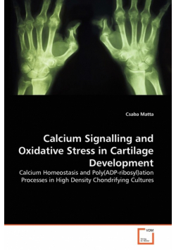 Calcium Signalling and Oxidative Stress in Cartilage Development