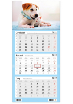 Kalendarz ścienny 2022 trójdzielny LUX Pies i Kot
