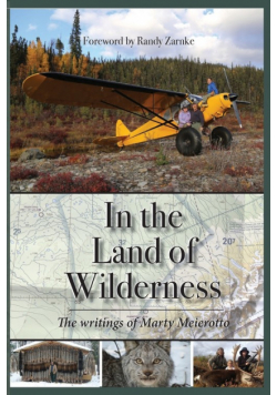 In the Land of Wilderness