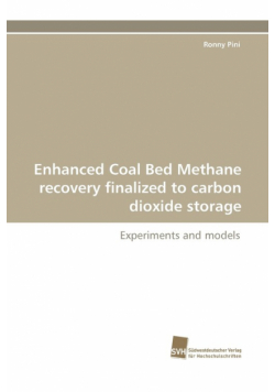 Enhanced Coal Bed Methane Recovery Finalized to Carbon Dioxide Storage