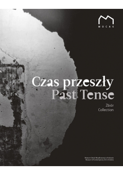 Czas przeszły Past Tense
