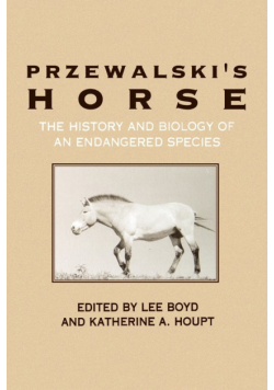 Przewalski's Horse