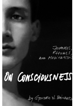 On Consciousness