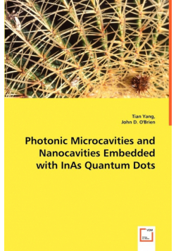 Photonic Microcavities and Nanocavities Embedded with InAs Quantum Dots