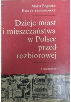 Dzieje miast i mieszczaństwa w Polsce przedrozbiorowej