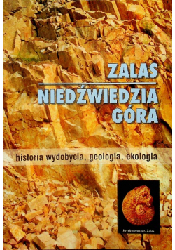 Zalas niedźwiedzia góra
