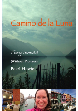 Camino De La Luna - Forgiveness (Without Pictures)