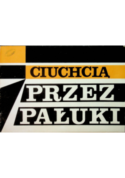 Ciuchcią przez Pałuki