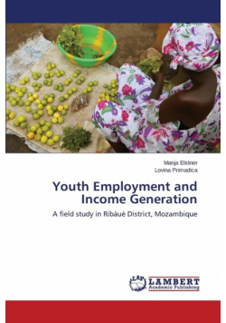 Youth Employment and Income Generation