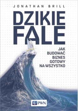 Dzikie fale Jak budować biznes gotowy na wszystko