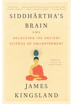 Siddhartha's Brain