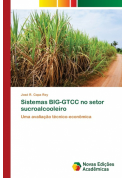 Sistemas BIG-GTCC no setor sucroalcooleiro