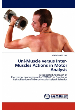 Uni-Muscle Versus Inter-Muscles Actions in Motor Analysis