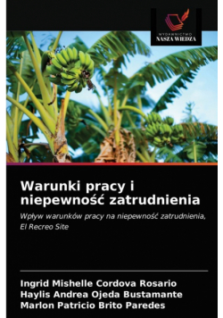 Warunki pracy i niepewność zatrudnienia