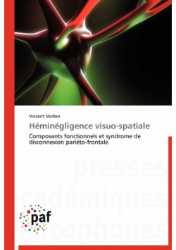 Héminégligence visuo-spatiale