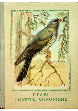 Ptaki Prawnie Chronione