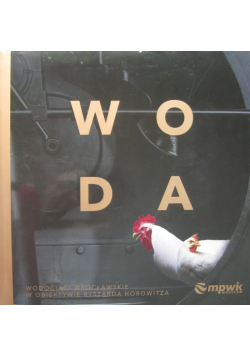Woda wodociągi wrocławskie w obiektywie Ryszarda Horowitza