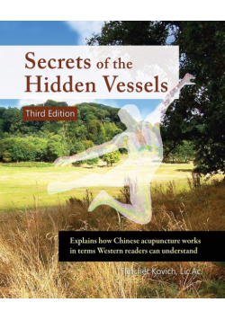 Secrets of the Hidden Vessels