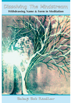 Dissolving the Mindstream