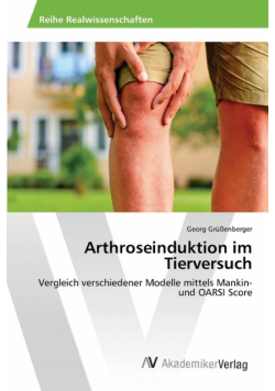 Arthroseinduktion im Tierversuch