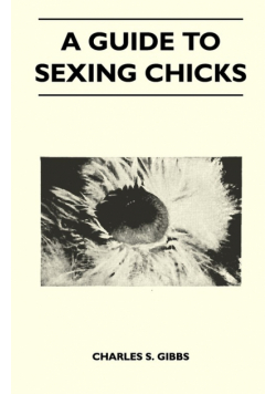 A Guide To Sexing Chicks
