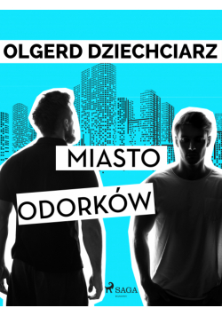 Miasto Odorków